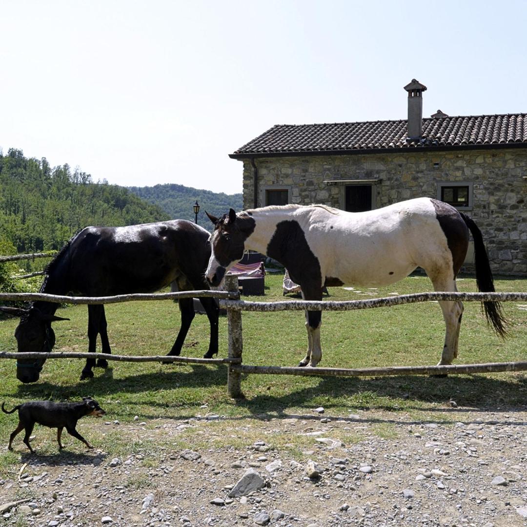 Vila Le Chianine Dei Tognoli Gragnola Exteriér fotografie