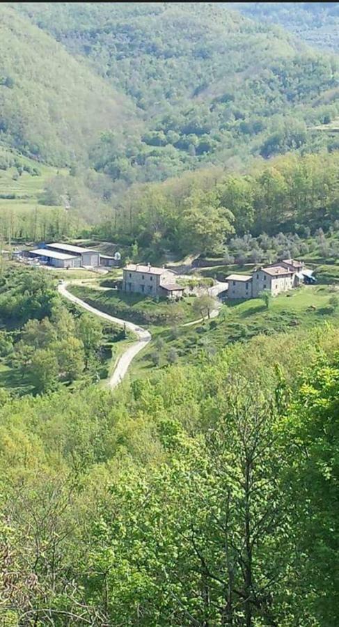 Vila Le Chianine Dei Tognoli Gragnola Exteriér fotografie